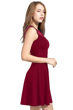 Picture of Knee Length Skater Dress with Mesh