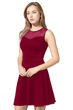 Picture of Knee Length Skater Dress with Mesh